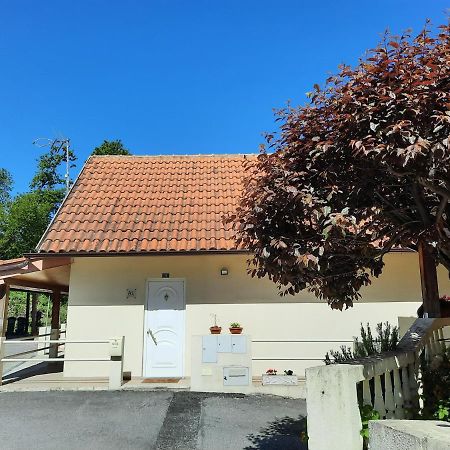 Apartmán Casas Do Caminho Velho Ribeira de Pena Exteriér fotografie